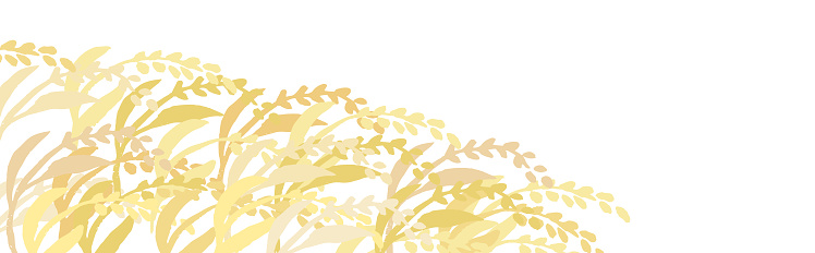 Background Frame Rice Handdrawn Frame Illustration Of Rice Stock Illustration - Download ...