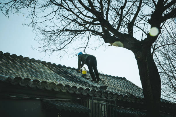 Roof, repair
