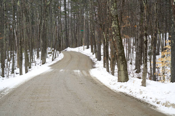 winding road extending in the winter forest
