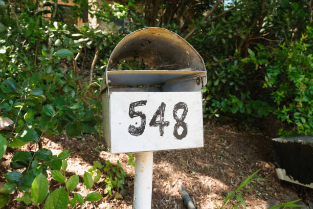 istock Old white metal mailbox surrounded by plants 2173251509