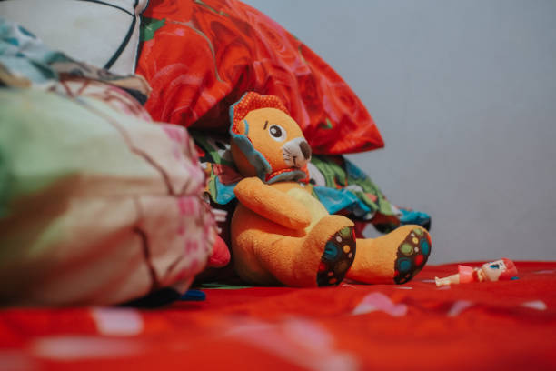 a stuffed lion rests on a pillow