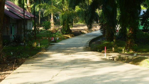 istock outdoor cement road with trees around 2173253055