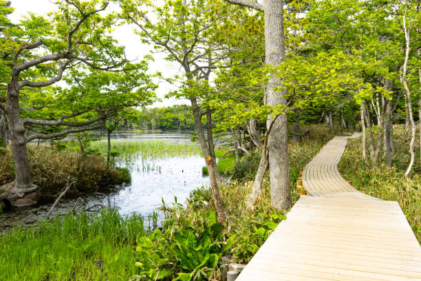 istock Shiretoko Five Lakes, Hokkaido. 2173254392