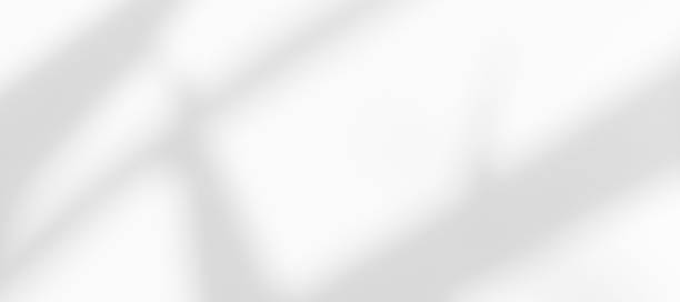 istock White wall with shadow of leaves overlay. 2173255032