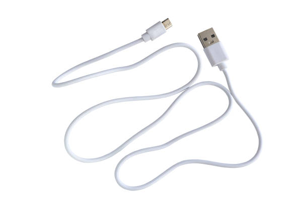 istock Cable with micro USB and USB connectors on a white background with clipping path. 2173255728