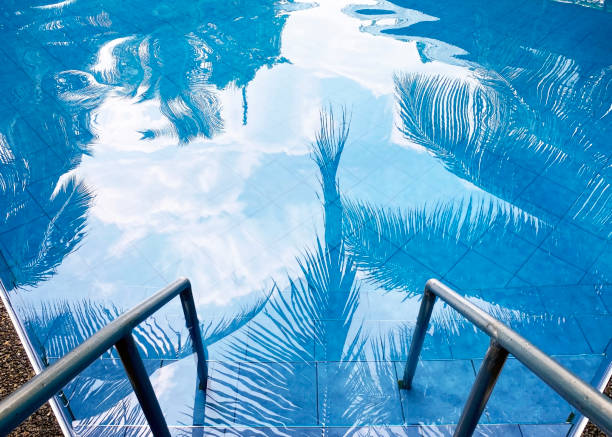 staircase to the pool with palm trees reflected in the water.