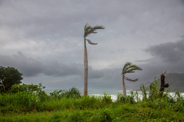 Typhoon hits Amami