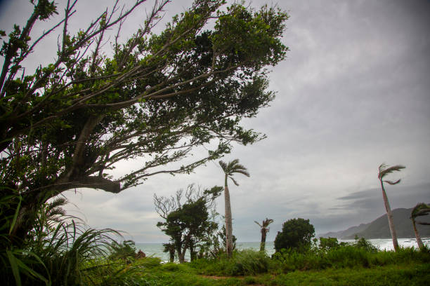 Typhoon hits Amami