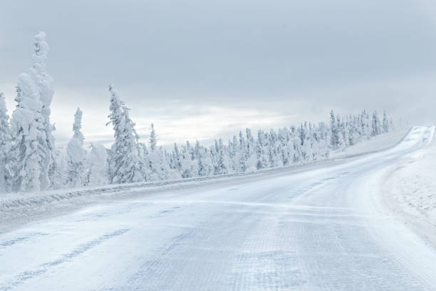 istock Alaska in the winter with snow mountain 2173266387