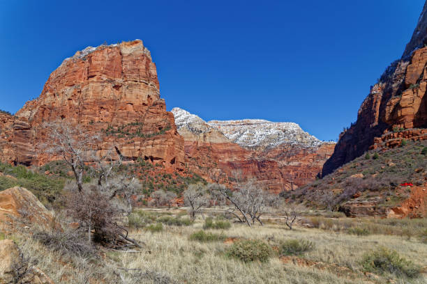 istock zion national park 2173266466