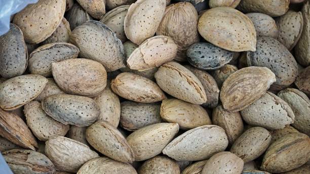 istock Close-Up of Shelled Almonds in a Bag 2173266577