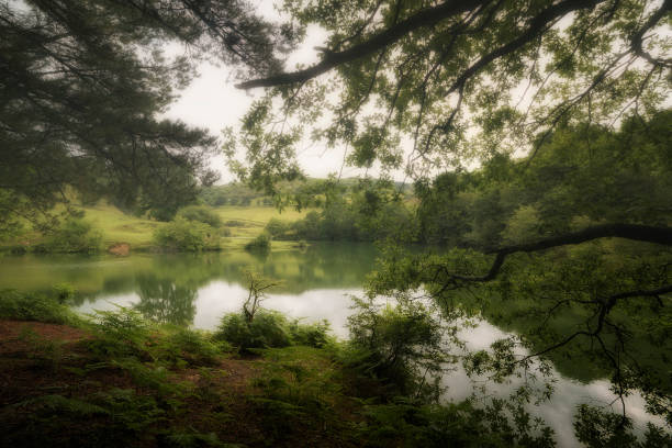 Loyola reservoir