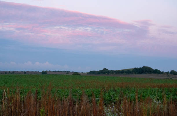 istock September 2024, Nature - Southern Sweden Part 2 2173270173