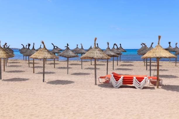 istock Early summer in Mallorca 2173271153