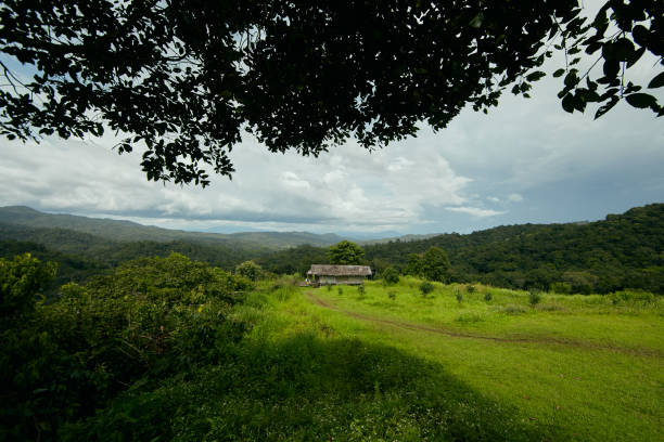 istock mountain view at Galyani Vadhana district. 2173271907