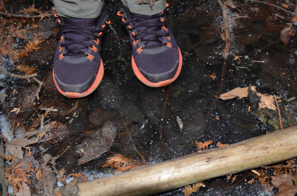 istock Standing on clear frozen stream with brown leaves in ice 2173274779