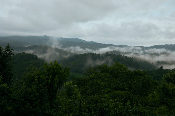 istock mountain view at Galyani Vadhana district. 2173274962