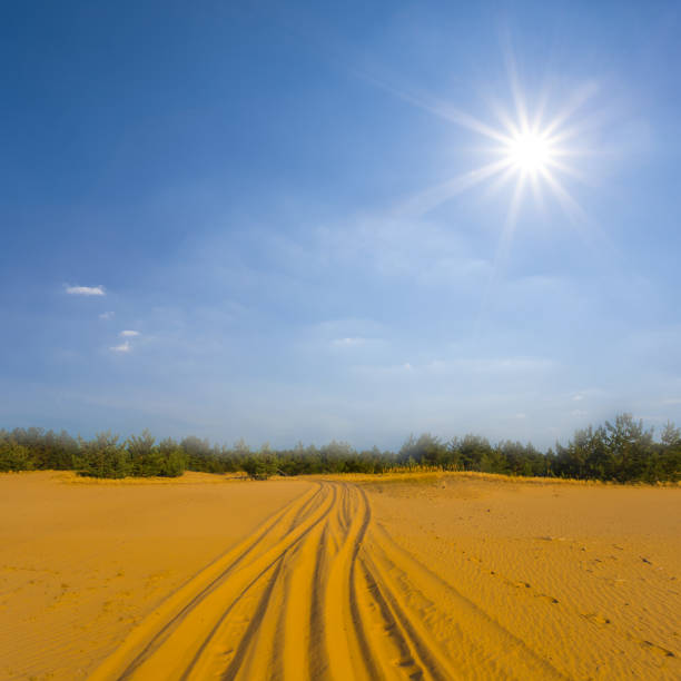 wide sandy desert at the hot suny day