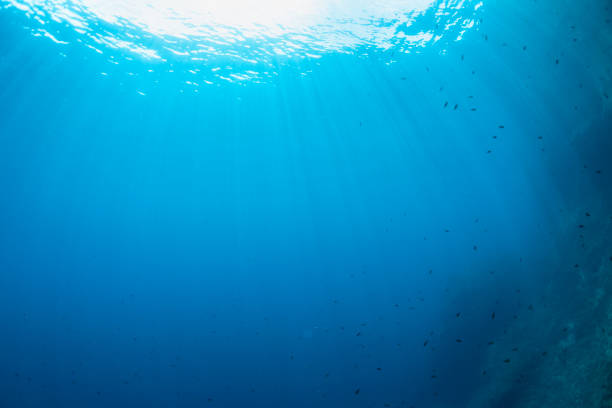 istock Underwater sea background    beautiful blue  lagoon 2173279848