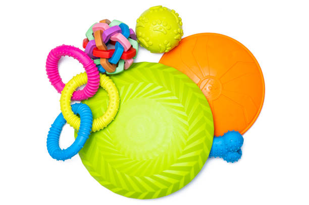 istock dog toys 2173281457