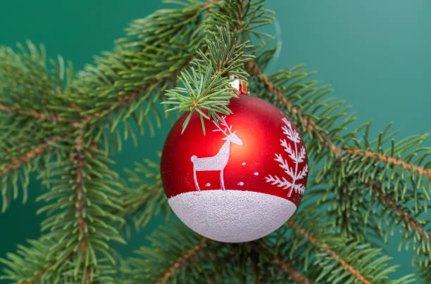 Christmas toy on a spruce branch on a green background