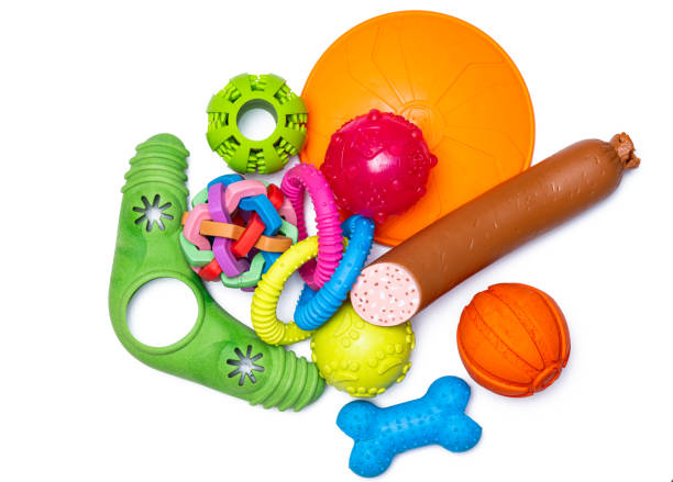 istock dog toys 2173282555