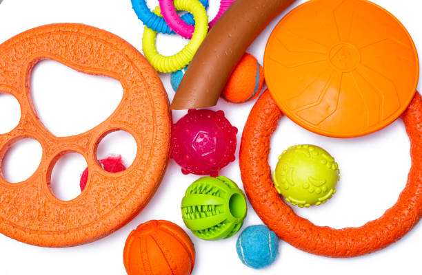 istock dog toys 2173282881