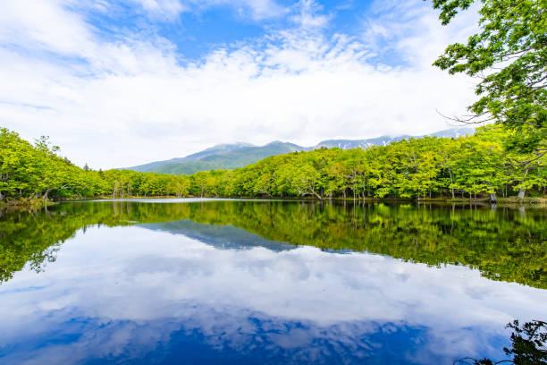 The Five Lakes of Shiretoko