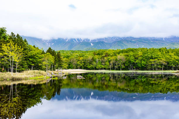 istock Shiretoko Five Lakes, Hokkaido. 2173282921