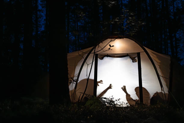istock Children making shadow puppets in a camping tent 2173284808