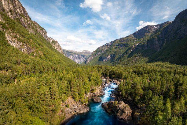 istock River and forest landscape at summer 2173286065
