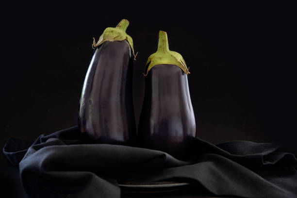 Two eggplants (Solanum melongena) standing on a dark napkin against an almost black background, vegetable ingredient for healthy recipes, copy space, selected focus