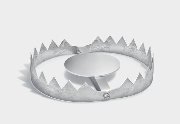 istock Open metal trap isolated on gray background. Clipping path included 2173287784