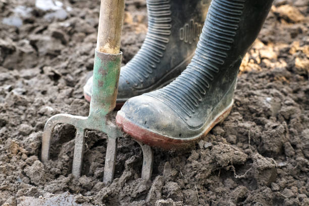 istock Working in the garden, loosening the soil. 2173289366