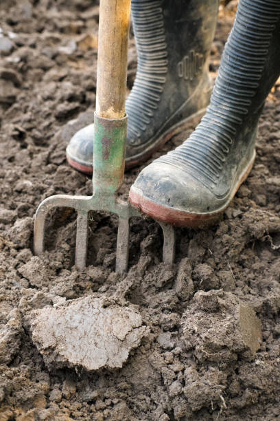 istock Working in the garden, loosening the soil. 2173289367