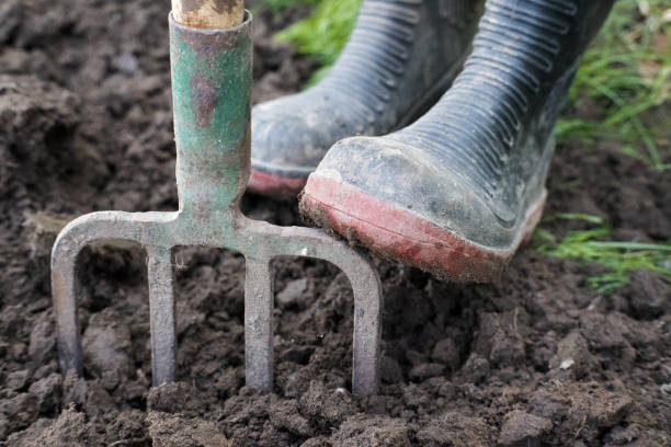 istock Working in the garden, loosening the soil. 2173289430