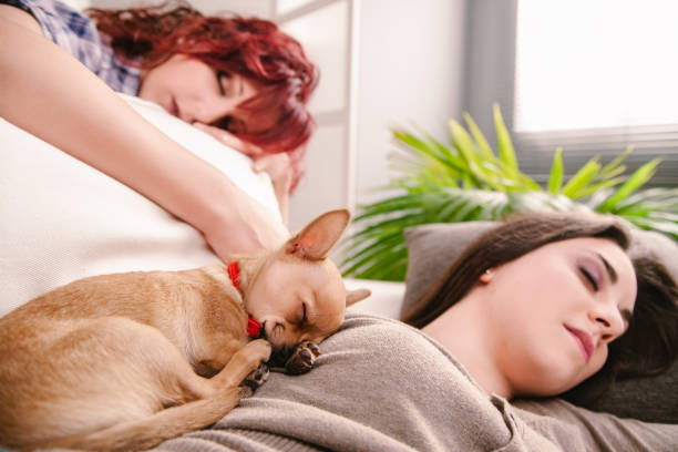 istock Two women, puppy sleep peacefully together 2173292142
