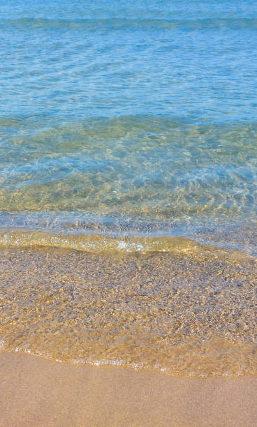 istock Serenity and peace, clear water gently lapping on a golden sandy beach, creating an inviting atmosphere 2173294240