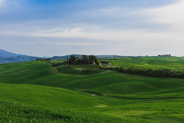A picturesque villa stands majestically on a hill in Val D'Orcia, surrounded by tall, graceful cypress trees. The scene captures the essence of Tuscany, with rolling green hills extending into the distance. Above, a stunning blue sky is dotted with fluffy white clouds, adding a tranquil ambiance to the landscape. This idyllic setting showcases the beauty of rural Italy, perfect for evoking a sense of peace and natural splendor.