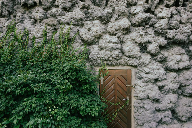 Full frame shot of a dripdrop wall in Prague