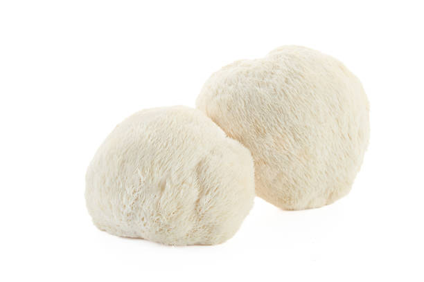 istock Lion's Mane Mushrooms on white background 2173303587