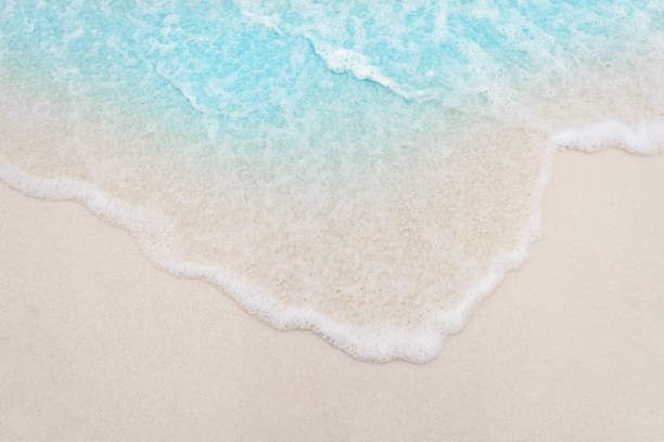 istock beautifully sand beach, closeup, top view 2173307585