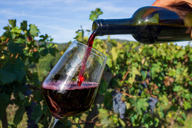 istock Fill the glass with red wine on the vineyard 2173316086