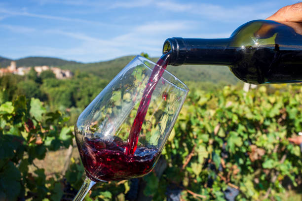 istock Fill the glass with red wine on the vineyard 2173316111