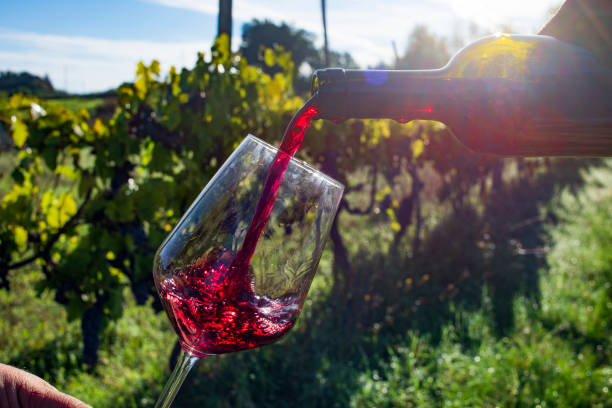 istock Fill the glass with red wine on the vineyard 2173316221