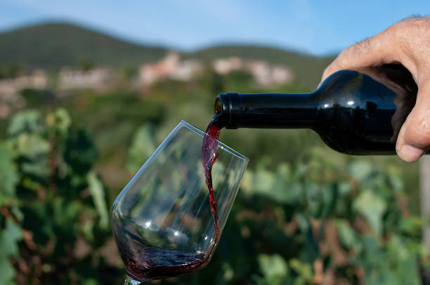 istock Toasting on the vineyards of Colli Amerini 2173319144