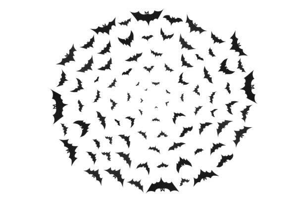 A fruit bat or grey headed flying fox shot against a cloudy sky. See the veins in its wings.