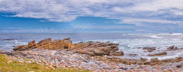 A rocky coastline in the Cape Province, South Africa
