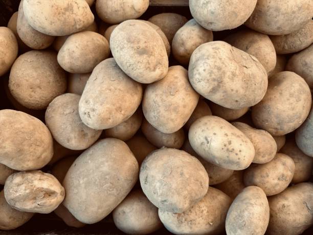 istock closeup of potatoes viewed from above - vegetable background 2173341160
