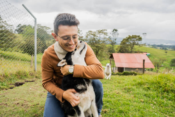 istock Young man playing with dog in animal shelter 2173341934